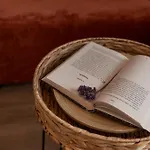 Lapmanni شقة *